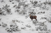 Nome del file=IMGP1987.jpg
Dimensione del file=475KiB
Dimensioni=1250x828
Aggiunta il=02 Apr 2018 IMGP1987.jpg