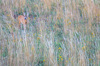 Nome del file=IMGP2518.jpg
Dimensione del file=1103KiB
Dimensioni=1400x927
Aggiunta il=31 Lug 2017 IMGP2518.jpg