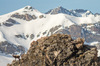 Nome del file=IMGP2682.jpg
Dimensione del file=708KiB
Dimensioni=1400x927
Aggiunta il=15 Apr 2019 IMGP2682.jpg