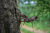 Nome del file=IMGP2759.jpg
Dimensione del file=360KiB
Dimensioni=1400x927
Aggiunta il=14 Lug 2023 IMGP2759.jpg