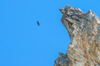 Nome del file=IMGP3159.jpg
Dimensione del file=383KiB
Dimensioni=1250x828
Aggiunta il=23 Apr 2018 IMGP3159.jpg