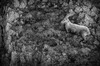 Nome del file=IMGP3172.jpg
Dimensione del file=716KiB
Dimensioni=1250x828
Aggiunta il=23 Apr 2018 IMGP3172.jpg