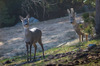Nome del file=IMGP3376.jpg
Dimensione del file=518KiB
Dimensioni=1400x927
Aggiunta il=31 Mar 2019 IMGP3376.jpg