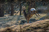 Nome del file=IMGP3404.jpg
Dimensione del file=727KiB
Dimensioni=1400x927
Aggiunta il=31 Mar 2019 IMGP3404.jpg