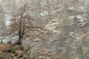 Nome del file=IMGP3596.jpg
Dimensione del file=991KiB
Dimensioni=1400x933
Aggiunta il=15 Apr 2019 IMGP3596.jpg