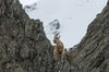 Nome del file=IMGP3676.jpg
Dimensione del file=697KiB
Dimensioni=1400x927
Aggiunta il=06 Mag 2018 IMGP3676.jpg