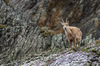Nome del file=IMGP3678.jpg
Dimensione del file=787KiB
Dimensioni=1400x927
Aggiunta il=06 Mag 2018 IMGP3678.jpg