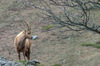 Nome del file=IMGP3723.jpg
Dimensione del file=442KiB
Dimensioni=1400x927
Aggiunta il=06 Mag 2018 IMGP3723.jpg