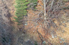 Nome del file=IMGP3792.jpg
Dimensione del file=1133KiB
Dimensioni=1400x927
Aggiunta il=15 Apr 2019 IMGP3792.jpg