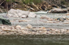 Nome del file=IMGP3909.jpg
Dimensione del file=595KiB
Dimensioni=1400x927
Aggiunta il=24 Apr 2019 IMGP3909.jpg