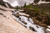Nome del file=IMGP4810.jpg
Dimensione del file=860KiB
Dimensioni=1400x927
Aggiunta il=14 Giu 2018 IMGP4810.jpg