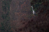IMGP7804-2.jpg