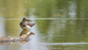 _IGP0344.jpg
