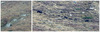 Nome del file=cinghiali.jpg
Dimensione del file=901KiB
Dimensioni=2000x643
Aggiunta il=03 Gen 2017 cinghiali.jpg