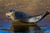 _IMG1595-Modifica-2.jpg