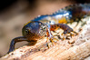 _IMG3792-Modifica.jpg