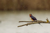 _IMG5357-Modifica.jpg