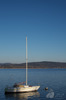 IMGP0504.jpg