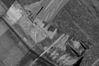 _IGP2628.JPG