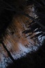 _IGP2774.JPG