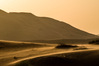 IMGP7094-2.jpg