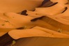 IMGP7411-2.jpg