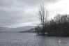 DSC00453_drktbl.jpg
