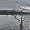 DSC00456_drktbl.jpg