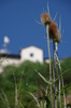 IMGP0082_rid.jpg