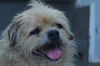 IMGP0678.jpg