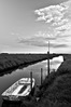 IMGP3543.jpg