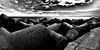IMGP3562_01.jpg