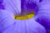 IMGP9015_drktbl.jpg