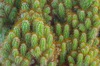 IMGP9456a.JPG