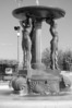 IMGP3342.JPG