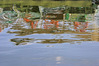 MANTOVA_2014_0058.JPG