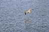 MANTOVA_2014_0128.JPG