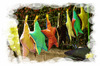 Nome del file=artigiani_e_mestieri_2014_0040~0.jpg
Dimensione del file=180KiB
Dimensioni=800x529
Aggiunta il=06 Mag 2016 artigiani_e_mestieri_2014_0040~0.jpg