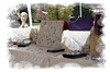 Nome del file=artigiani_e_mestieri_2014_0046.jpg
Dimensione del file=866KiB
Dimensioni=2047x1354
Aggiunta il=06 Mag 2016 artigiani_e_mestieri_2014_0046.jpg