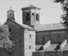 morimondo_0012_28129.jpg
