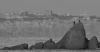 CORMORANI_0073.jpg