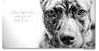 Uno_sguardo_by_Marco_R.jpg
