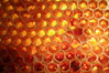 K3303533r.JPG