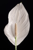 K5_03663.JPG