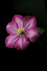 K5_04938.JPG