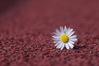 K7_01343.jpg