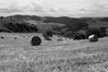 Paesaggio_23.jpg