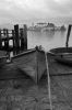 IMGP3852-2.jpg