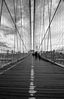 IMGP4442-1.jpg