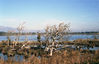 XE-1_003.jpg